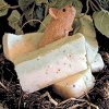 Secret Garden Soap, handmade soap from Sweet Harvest Farms.